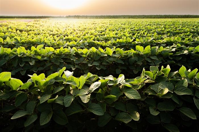 3 Approaches to Protect Against New Risks in Agriculture